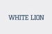 White Lion Bets Casino